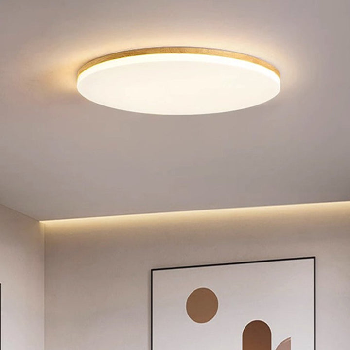 Some Round LED Ceiling Lamp in Acrylic