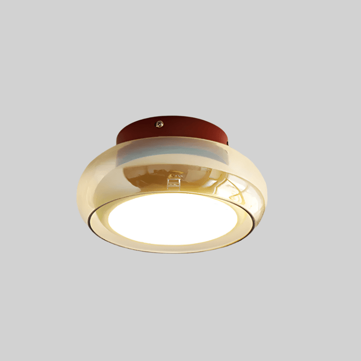 Vintage Small Acrylic LED Ceiling Lamp