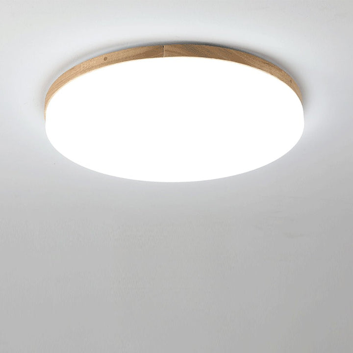 Some Round LED Ceiling Lamp in Acrylic