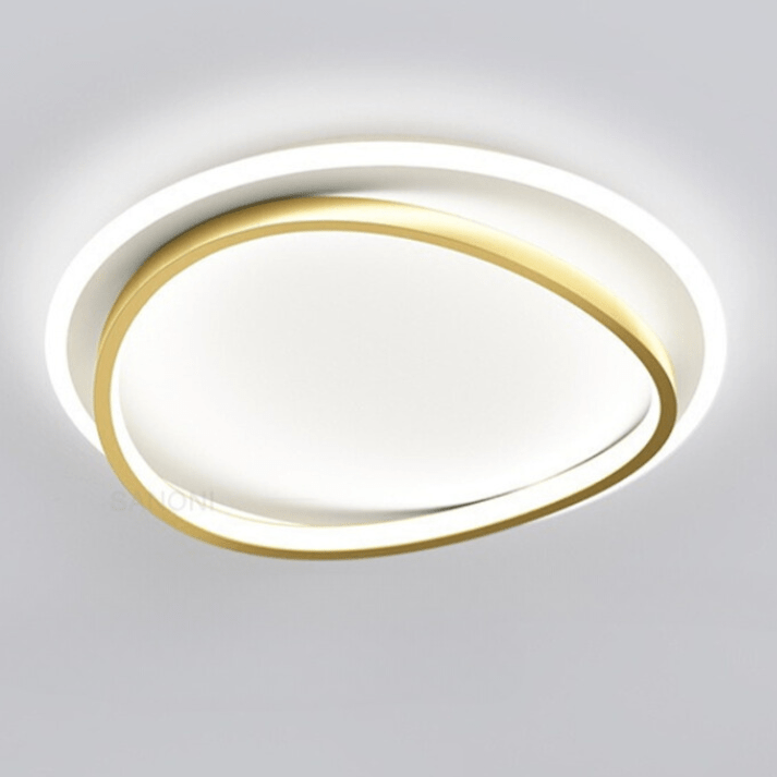 Modern Ceiling Lamp