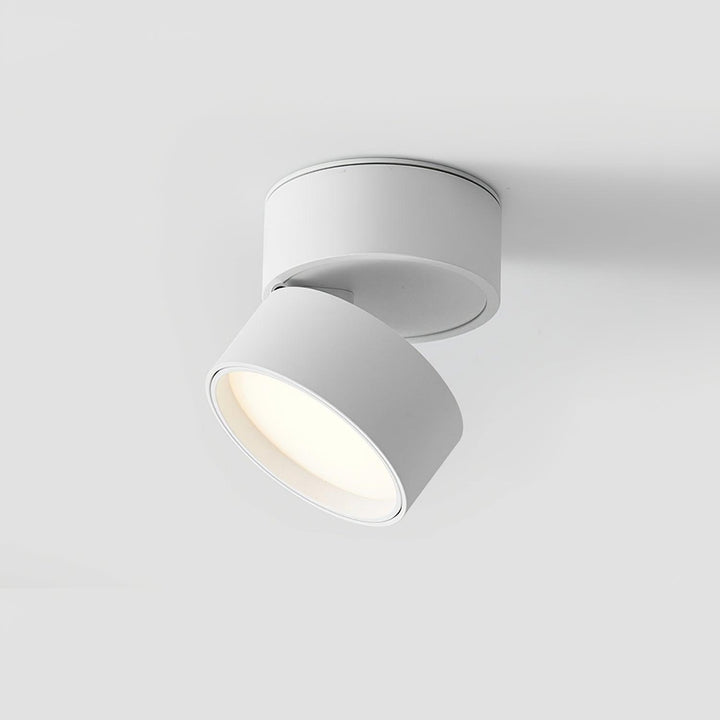 Savvina Ceiling Lamp