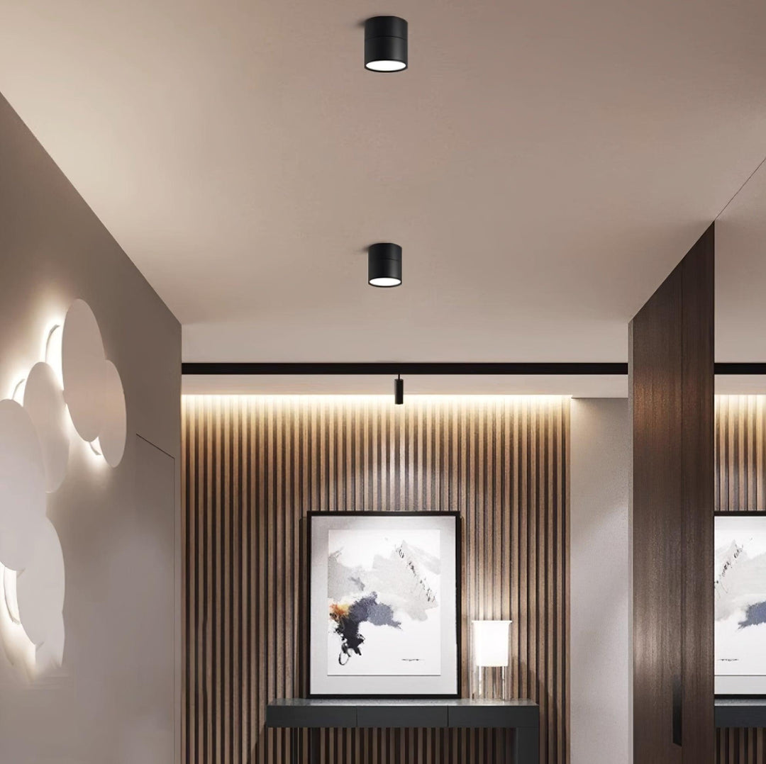 Savvina Ceiling Lamp