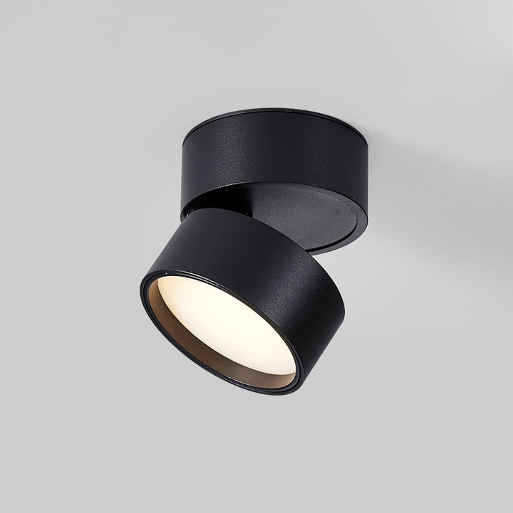 Savvina Ceiling Lamp