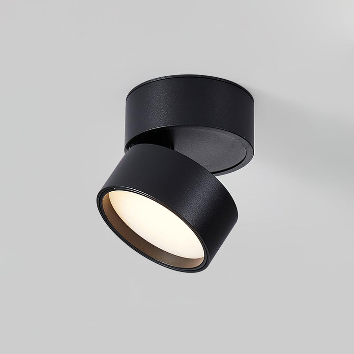 Savvina Ceiling Lamp