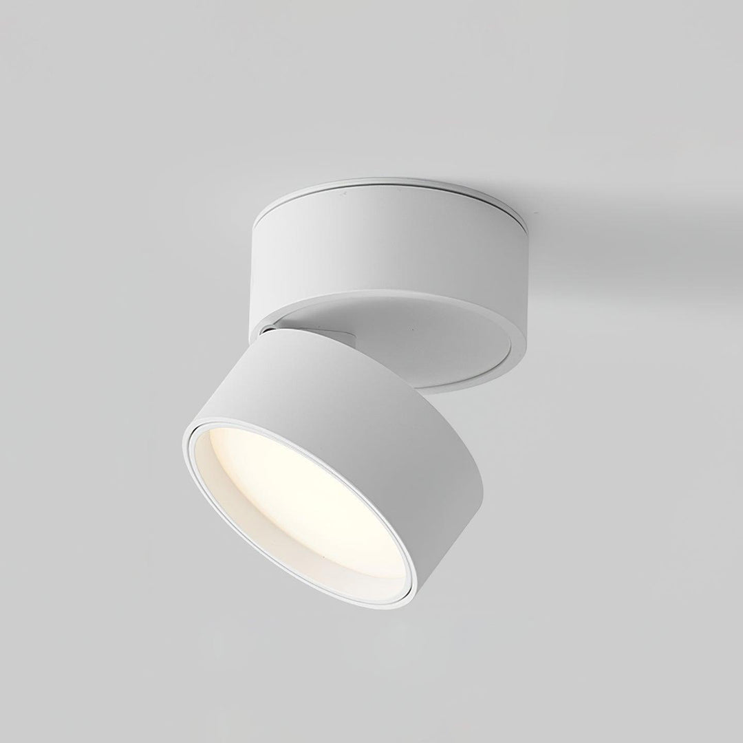 Savvina Ceiling Lamp