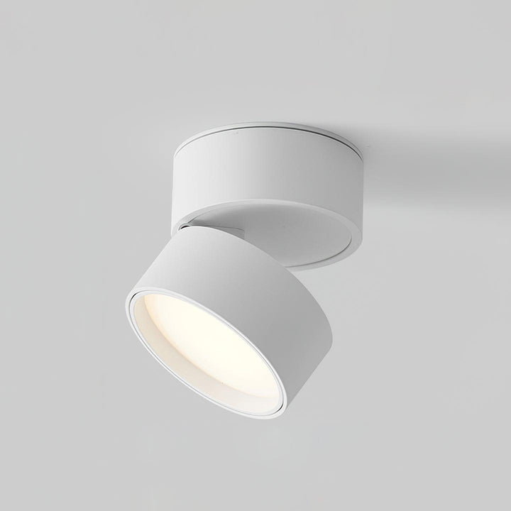 Savvina Ceiling Lamp