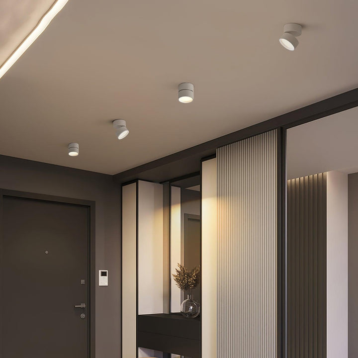 Savvina Ceiling Lamp
