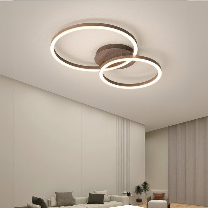 Elegant Ring Ceiling Fixture