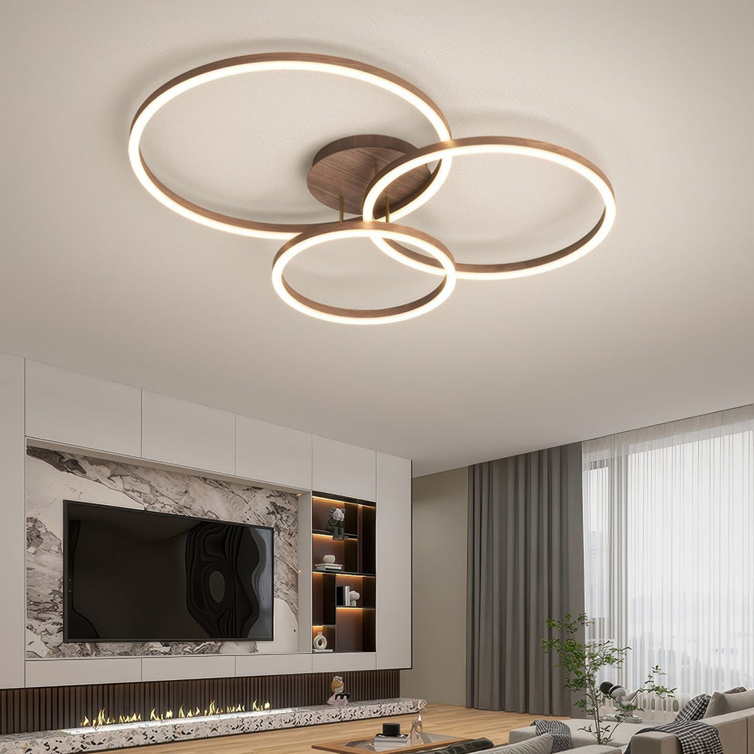 Elegant Ring Ceiling Fixture