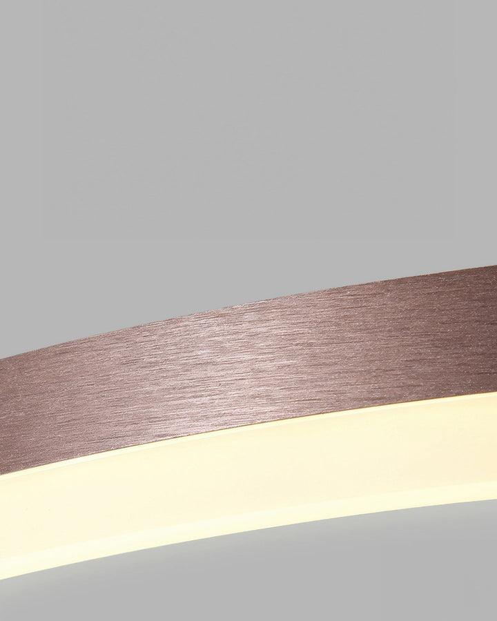 Elegant Ring Ceiling Fixture