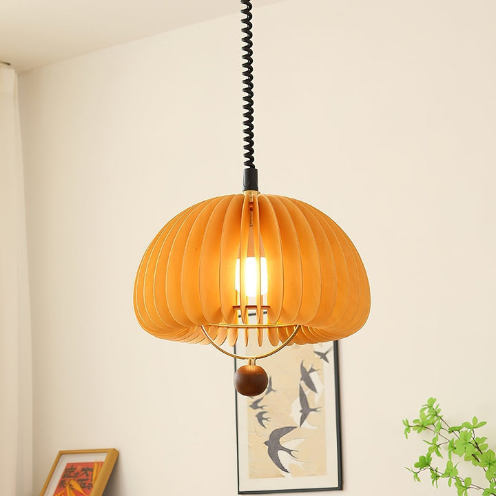 Adjustable Pumpkin Pendant Light