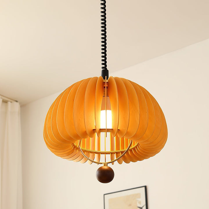 Adjustable Pumpkin Pendant Light