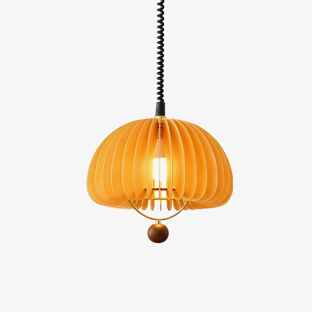 Adjustable Pumpkin Pendant Light