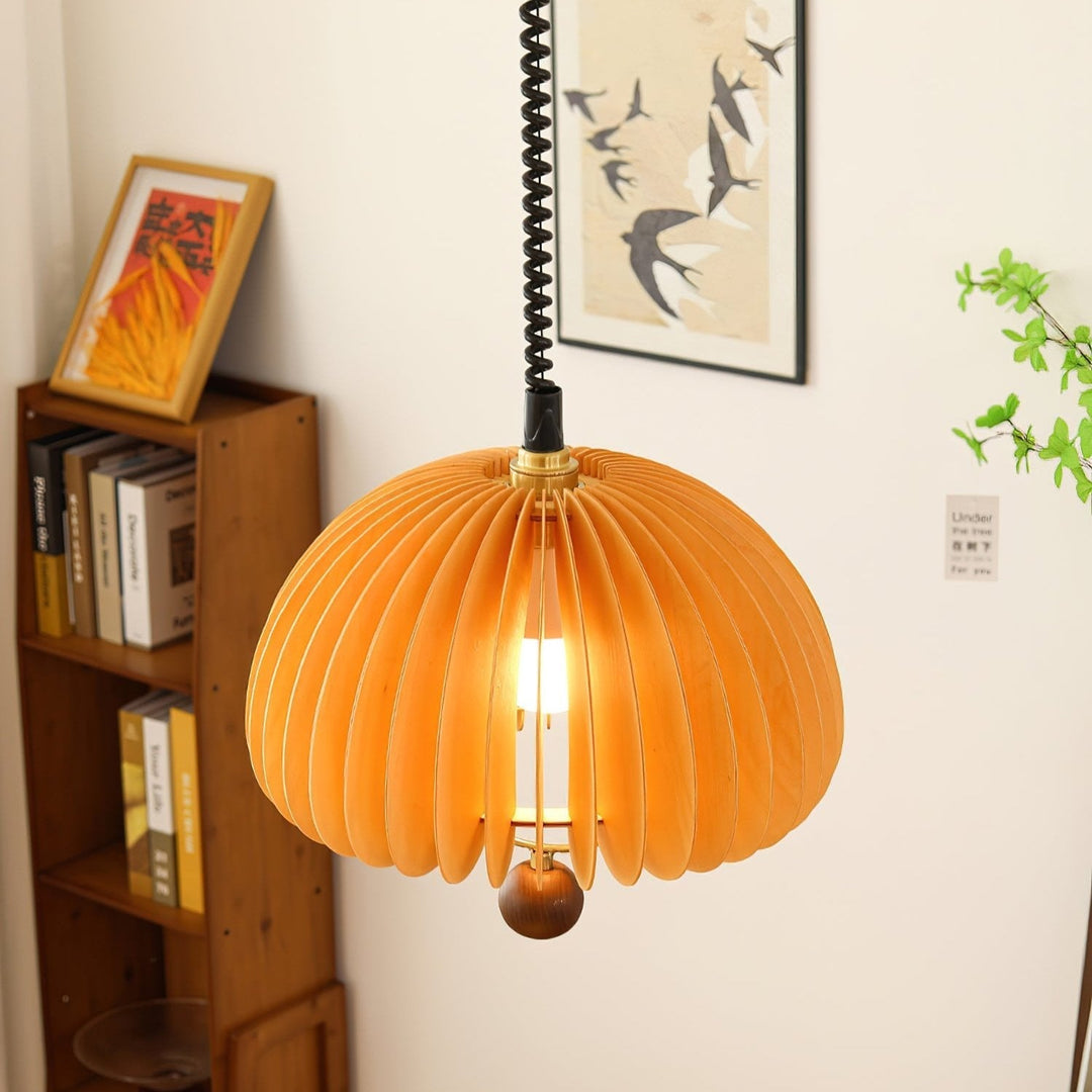 Adjustable Pumpkin Pendant Light
