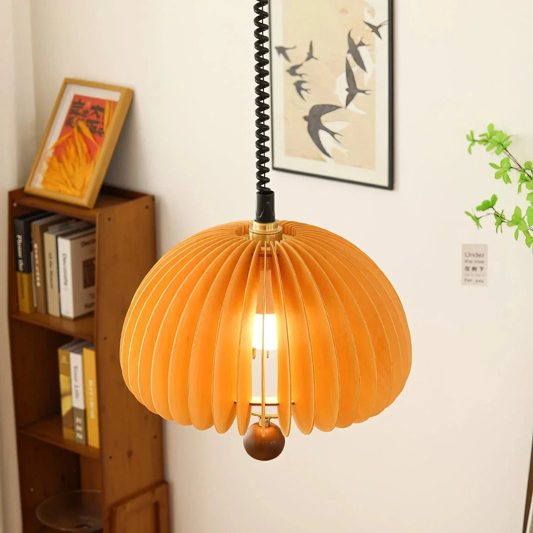 Adjustable Pumpkin Pendant Light