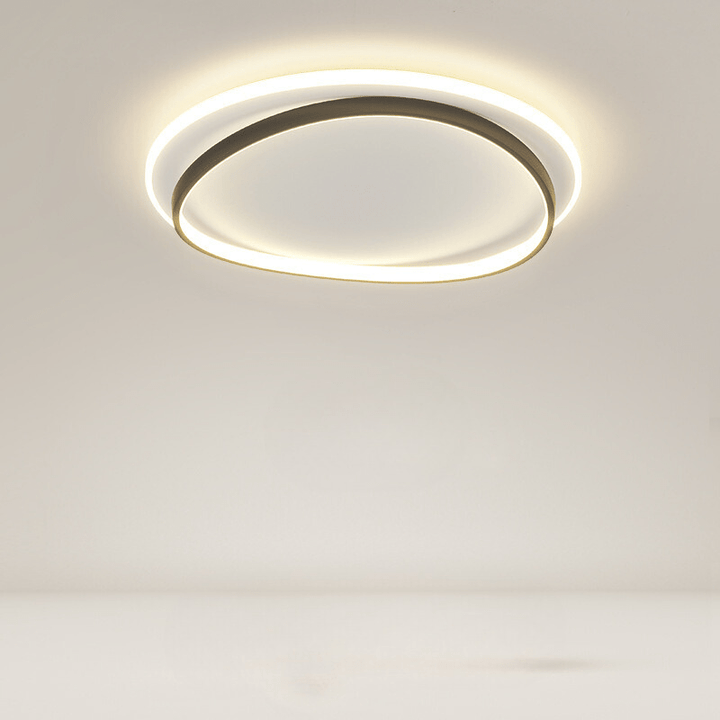 Modern Ceiling Lamp