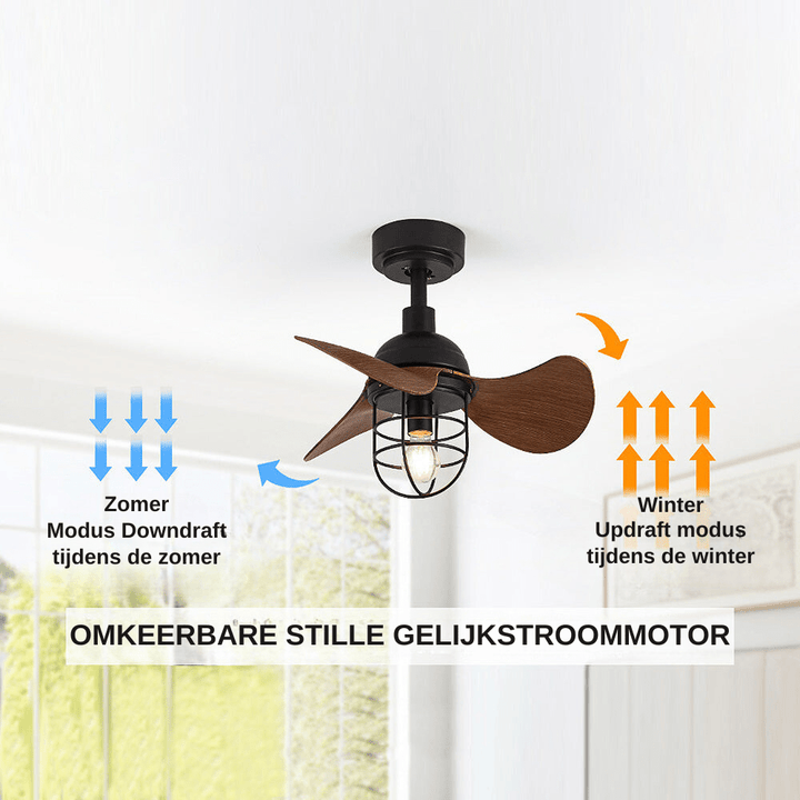 Cute Contemporary Ceiling Fans Dark Walnut With Lighting