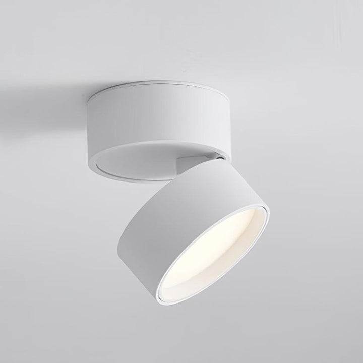 Favilla Surface Ceiling Lamp