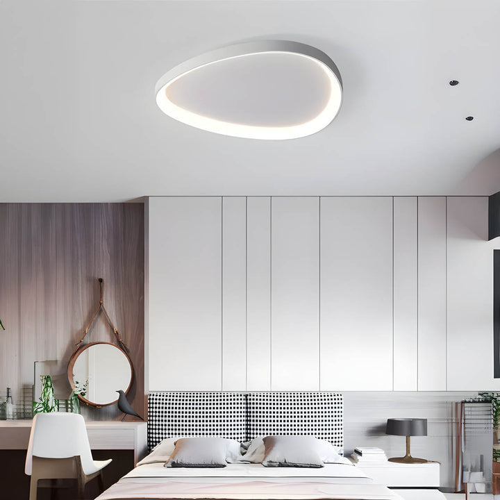 Dew Color Ceiling Lamp