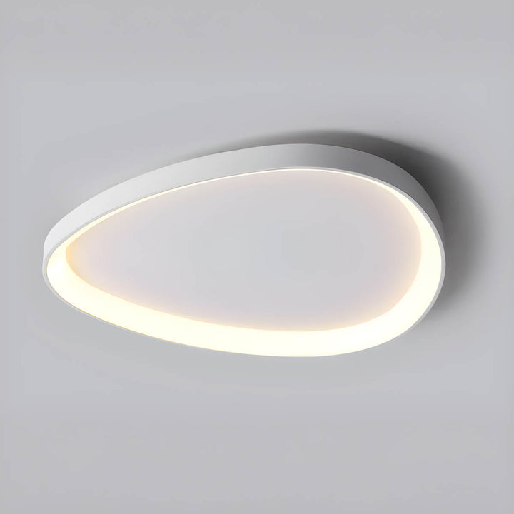 Dew Color Ceiling Lamp