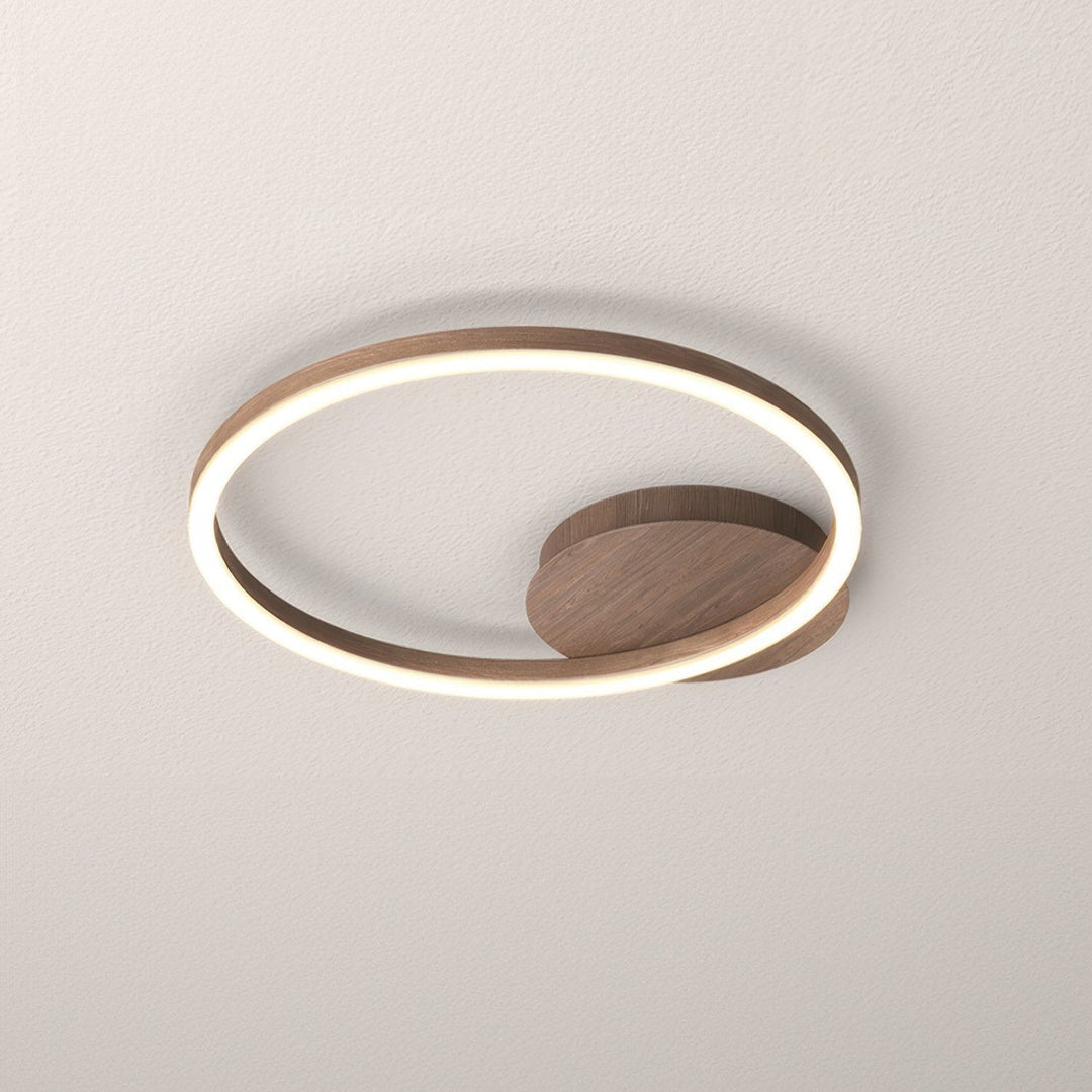 Elegant Ring Ceiling Fixture