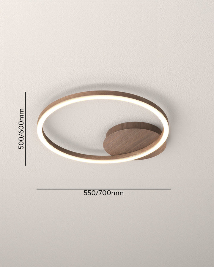 Elegant Ring Ceiling Fixture