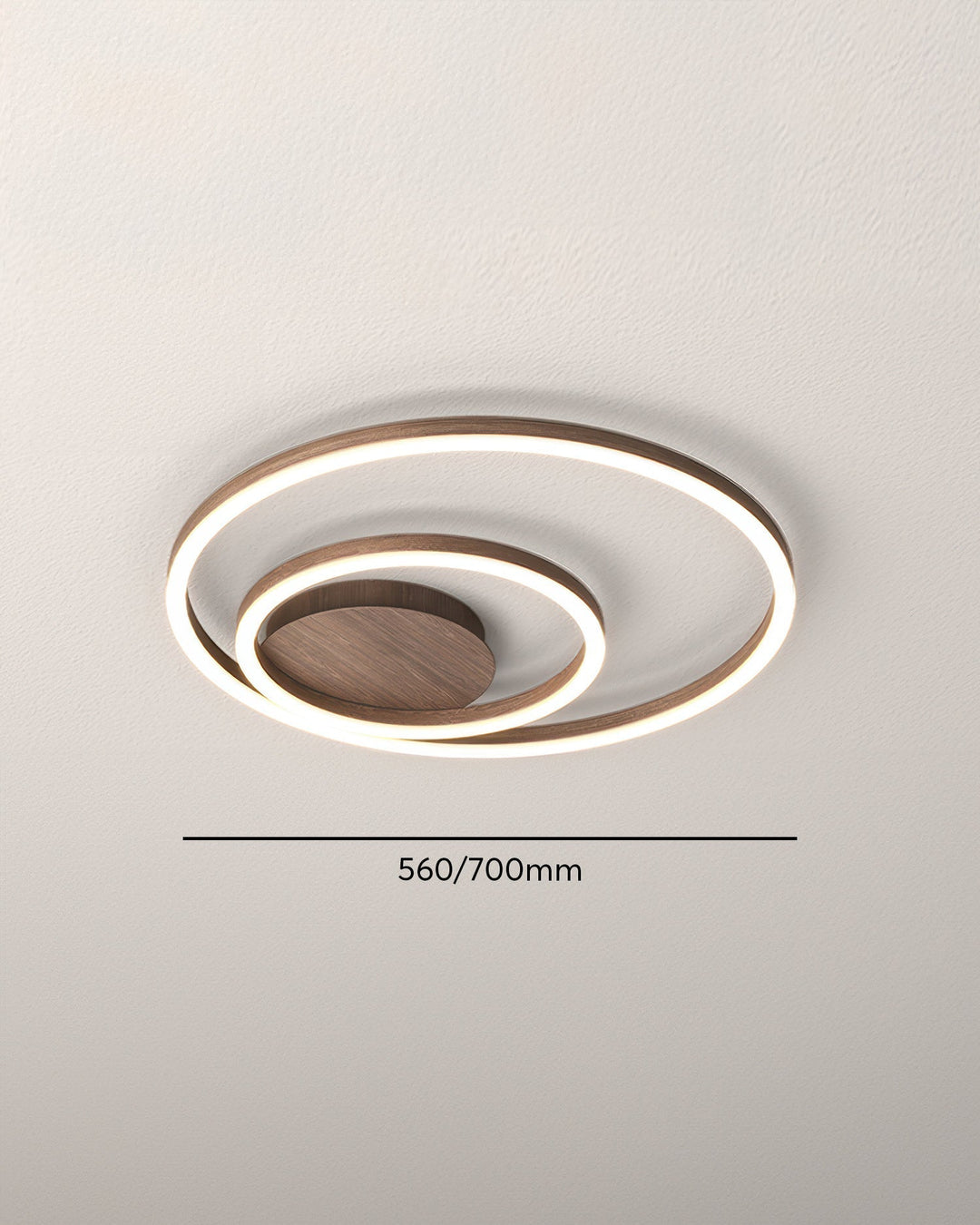 Elegant Ring Ceiling Fixture