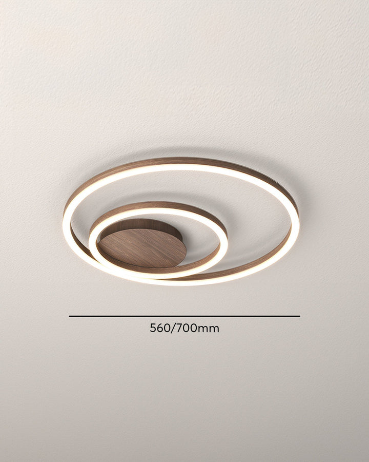 Elegant Ring Ceiling Fixture