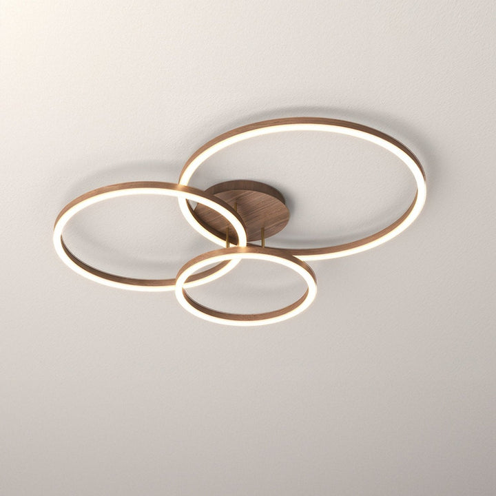 Elegant Ring Ceiling Fixture