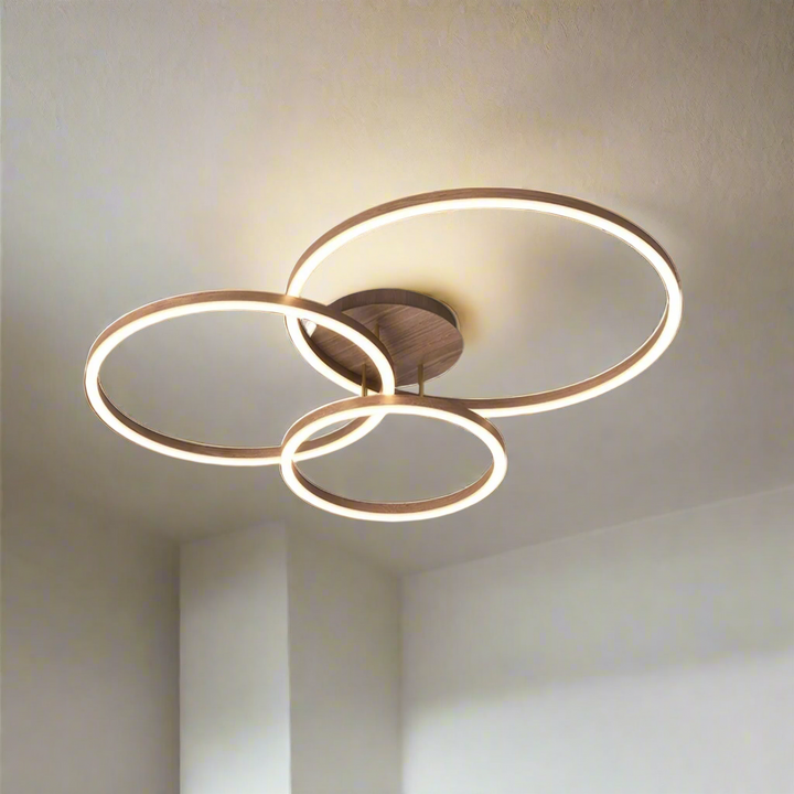 Elegant Ring Ceiling Fixture