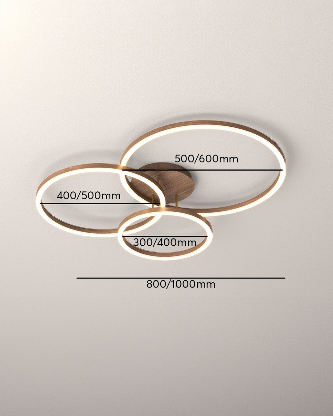 Elegant Ring Ceiling Fixture