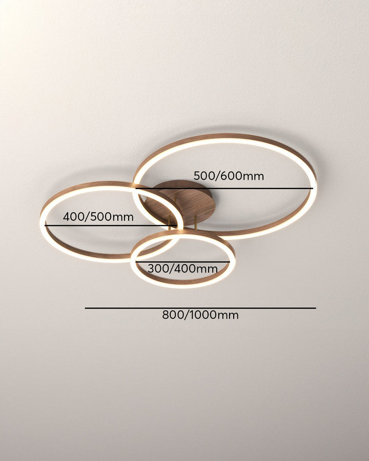 Elegant Ring Ceiling Fixture