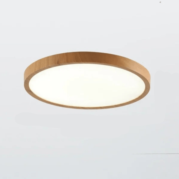 Ultrathin Circular Ceiling Lamp