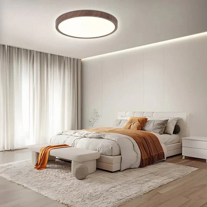 Ultrathin Circular Ceiling Lamp