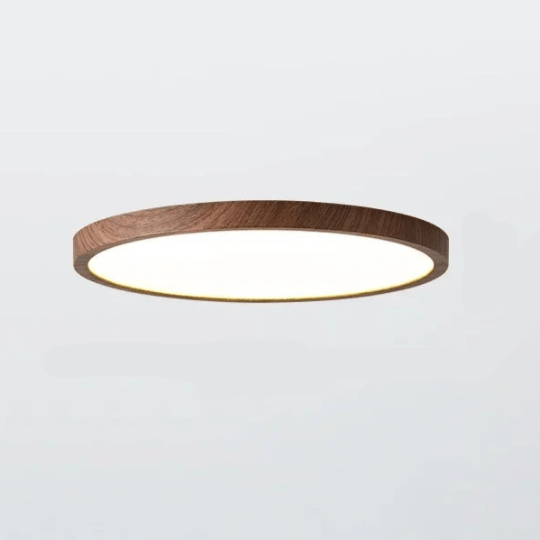 Ultrathin Circular Ceiling Lamp
